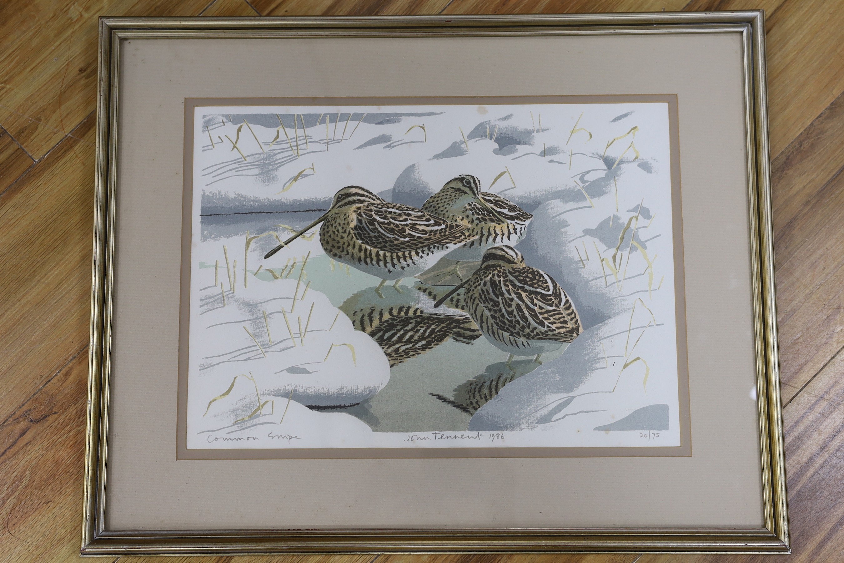 John Tennent (1926-), screenprint, 'Common Snipe', signed and dated 1986, 20/75, 31 x 43cm